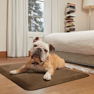 Terapeutick� podlo�ky pre psov - kolekcia Squared