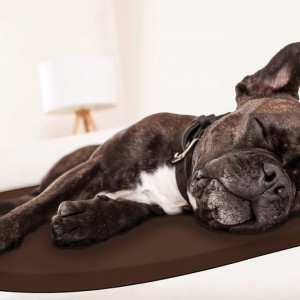 Terapeutick� podlo�ky pre psov - kolekcia Rounded