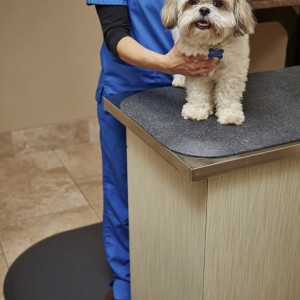 Terapeutick� podlo�ky pre psov - kolekcia Rounded